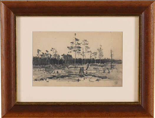 Дубовской Николай Никанорович. Пейзаж с просекой